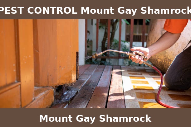 PEST CONTROL Mount Gay Shamrock